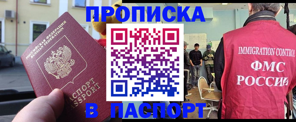 временная регистрация поиск в Полярном